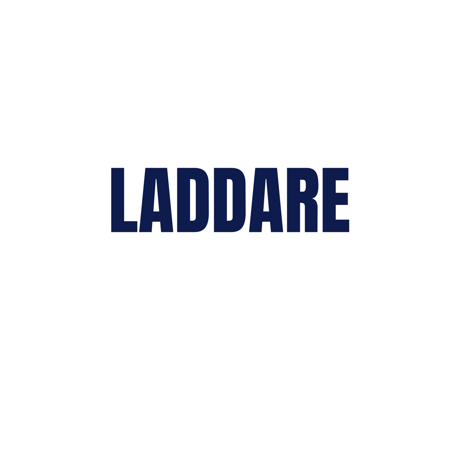 Laddare